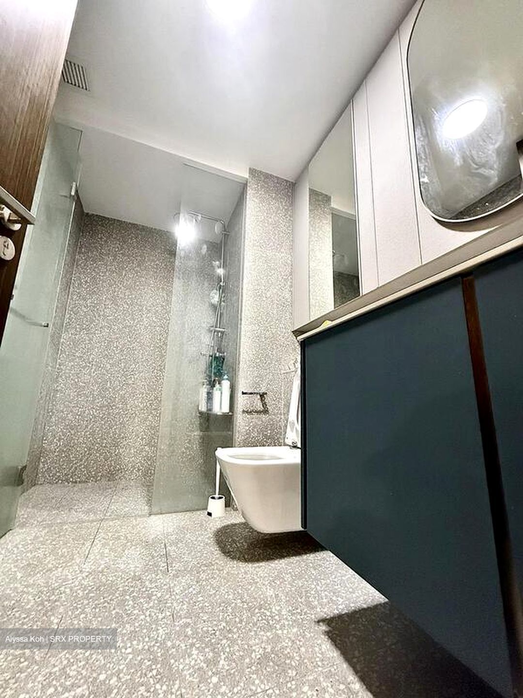 Clavon (D5), Apartment #502830221